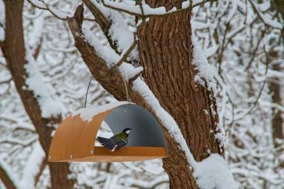 Прикрепленное изображение: Image00004.jpg